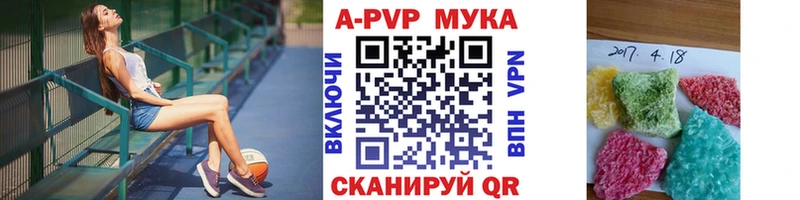 Купить где  Кириллов  А ПВП крисы CK 