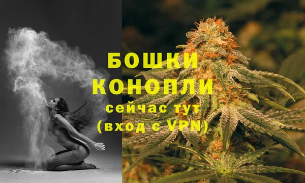 гидра Кукмор
