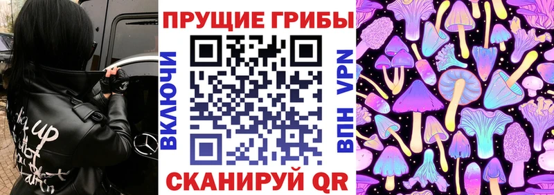Купить закладки  Кириллов  Псилоцибиновые грибы ЛСД 