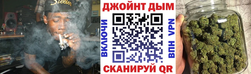 Купить  Кириллов  Канабис SATIVA & INDICA 